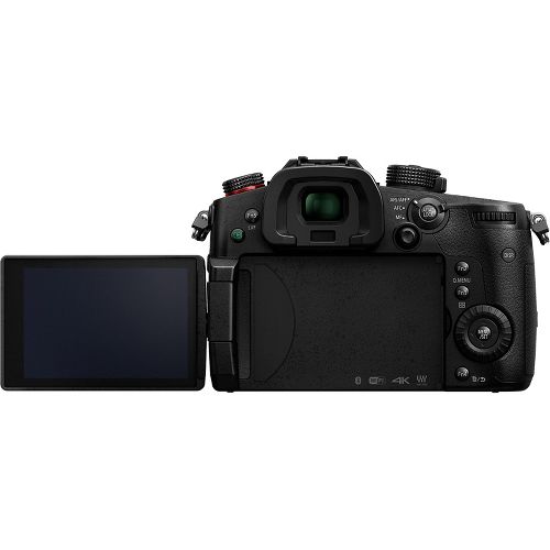 Фотоаппарат Panasonic Lumix DC-GH5S Body