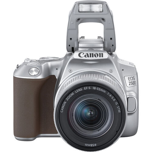 Фотоаппарат Canon EOS 250D Kit EF-S 18-55 IS STM Silver Argent