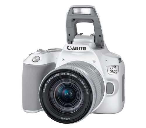 Фотоаппарат Canon EOS 250D Kit EF-S 18-55mm f/4-5.6 IS STM, белый
